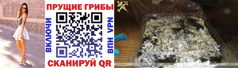 blacksprut вход  Донской  Галлюциногенные грибы GOLDEN TEACHER 
