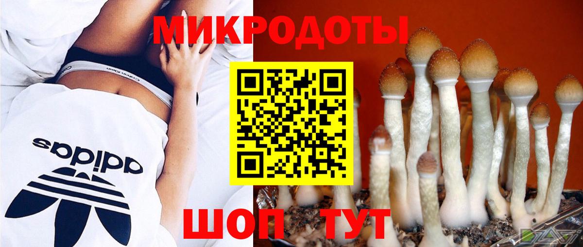Галлюциногенные грибы Cubensis  Вход с VPN  Галлюциногенные грибы мухоморы  Донской 