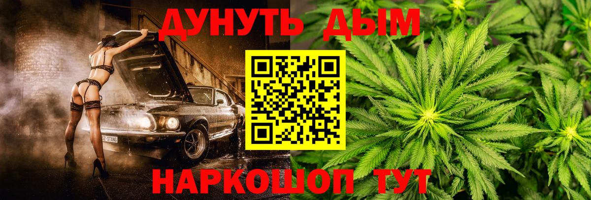 Конопля конопля Донской